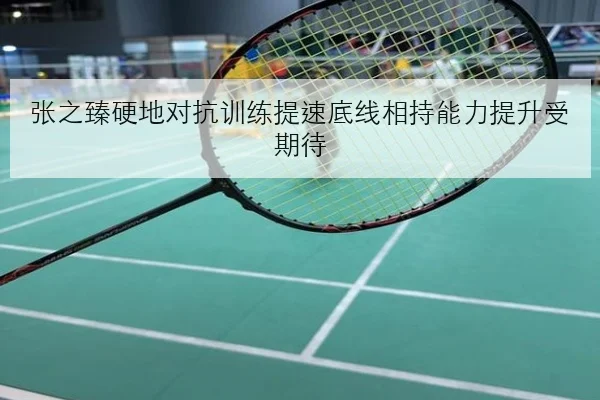 张之臻硬地对抗训练提速底线相持能力提升受期待